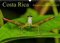Costa Rica Begegnungen im Regenwald (Wandkalender 2022 DIN A3 quer)