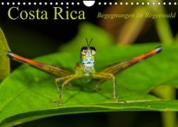Costa Rica Begegnungen im Regenwald (Wandkalender 2022 DIN A4 quer)