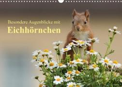 Besondere Augenblicke mit Eichhörnchen (Wandkalender 2022 DIN A3 quer)