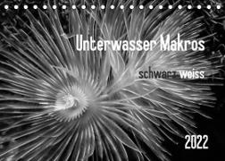 Unterwasser Makros - schwarz weiss 2022 (Tischkalender 2022 DIN A5 quer)