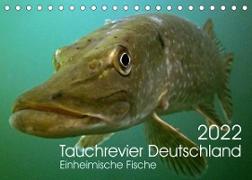 Tauchrevier Deutschland (Tischkalender 2022 DIN A5 quer)