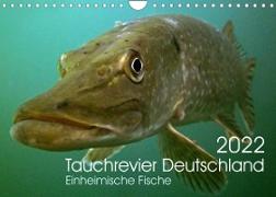 Tauchrevier Deutschland (Wandkalender 2022 DIN A4 quer)
