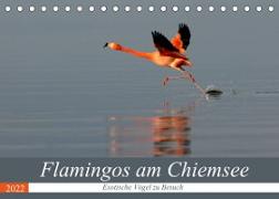 Flamingos am Chiemsee (Tischkalender 2022 DIN A5 quer)