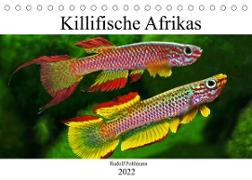 Killifische Afrikas (Tischkalender 2022 DIN A5 quer)