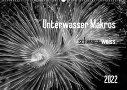Unterwasser Makros - schwarz weiss 2022 (Wandkalender 2022 DIN A2 quer)