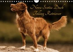 Nova Scotia Duck Tolling Retriever (Wandkalender 2022 DIN A4 quer)