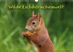 Wilde Eichhörnchenwelt! (Wandkalender 2022 DIN A3 quer)