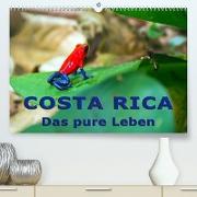 Costa Rica - das pure Leben (Premium, hochwertiger DIN A2 Wandkalender 2022, Kunstdruck in Hochglanz)