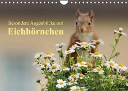 Besondere Augenblicke mit Eichhörnchen (Wandkalender 2022 DIN A4 quer)