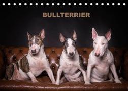 Bullterrier (Tischkalender 2022 DIN A5 quer)