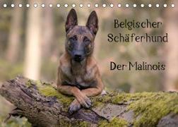 Belgischer Schäferhund - Der Malinois (Tischkalender 2022 DIN A5 quer)