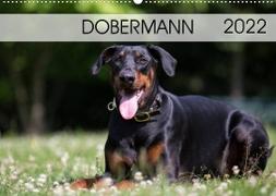 Dobermann 2022 (Wandkalender 2022 DIN A2 quer)