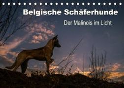 Belgische Schäferhunde - Der Malinois im Licht (Tischkalender 2022 DIN A5 quer)