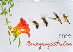 Bewegungsstudien (Wandkalender 2022 DIN A4 quer)