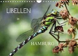 Libellen in HamburgCH-Version (Wandkalender 2022 DIN A4 quer)