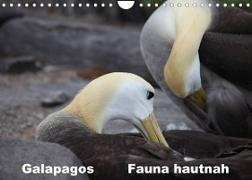 Galapagos. Fauna hautnah (Wandkalender 2022 DIN A4 quer)