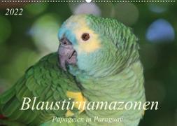 Blaustirnamazonen - Papageien in Paraguay (Wandkalender 2022 DIN A2 quer)