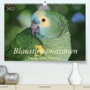 Blaustirnamazonen - Papageien in Paraguay (Premium, hochwertiger DIN A2 Wandkalender 2022, Kunstdruck in Hochglanz)