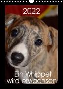 Ein Whippet wird erwachsen (Wandkalender 2022 DIN A4 hoch)