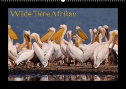 Wilde Tiere Afrikas (Wandkalender 2022 DIN A2 quer)