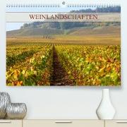 Weinlandschaften (Premium, hochwertiger DIN A2 Wandkalender 2022, Kunstdruck in Hochglanz)
