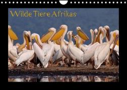 Wilde Tiere Afrikas (Wandkalender 2022 DIN A4 quer)