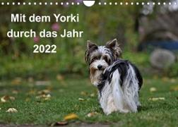Mit dem Yorki durch das Jahr 2022 (Wandkalender 2022 DIN A4 quer)
