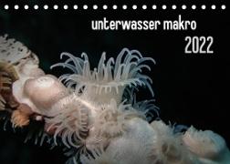 unterwasser makro 2022 (Tischkalender 2022 DIN A5 quer)