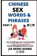 Chinese Sex Words & Phrases (Part 3)