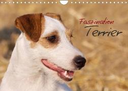 Faszination Terrier (Wandkalender 2022 DIN A4 quer)
