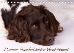 Kleiner Münsterländer Vorstehhund (Tischkalender 2022 DIN A5 quer)