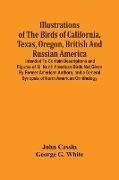 Illustrations Of The Birds Of California, Texas, Oregon, British And Russian America