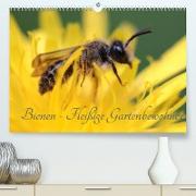 Bienen - Fleißige Gartenbewohner (Premium, hochwertiger DIN A2 Wandkalender 2022, Kunstdruck in Hochglanz)
