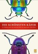 Die schönsten Käfer (Wandkalender 2022 DIN A2 hoch)