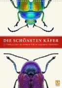 Die schönsten Käfer (Wandkalender 2022 DIN A3 hoch)