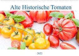 Alte Historische Tomaten (Wandkalender 2022 DIN A2 quer)
