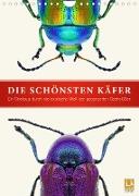 Die schönsten Käfer (Wandkalender 2022 DIN A4 hoch)
