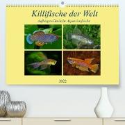 Killifische der WeltCH-Version (Premium, hochwertiger DIN A2 Wandkalender 2022, Kunstdruck in Hochglanz)