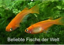 Beliebte Fische der Welt (Wandkalender 2022 DIN A2 quer)
