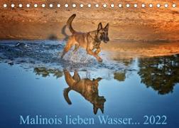 Malinois lieben Wasser (Tischkalender 2022 DIN A5 quer)