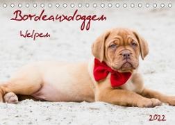 Bordeauxdoggen Welpen (Tischkalender 2022 DIN A5 quer)