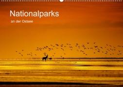 Nationalparks an der Ostsee (Wandkalender 2022 DIN A2 quer)