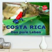 Costa Rica - das pure Leben (Premium, hochwertiger DIN A2 Wandkalender 2022, Kunstdruck in Hochglanz)