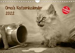 Oma's Katzenkalender 2022 (Wandkalender 2022 DIN A4 quer)