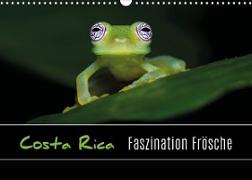 Costa Rica - Faszination Frösche (Wandkalender 2022 DIN A3 quer)