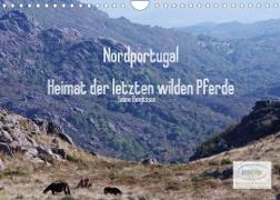 Nordportugal - Heimat der letzten wilden Pferde (Wandkalender 2022 DIN A4 quer)