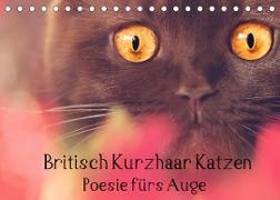 Britisch Kurzhaar Katzen - Poesie fürs Auge (Tischkalender 2022 DIN A5 quer)