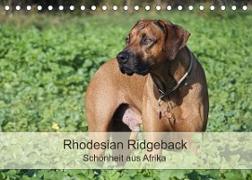 Rhodesian Ridgeback Schönheit aus Afrika (Tischkalender 2022 DIN A5 quer)