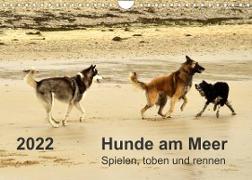 Hunde am Meer - Spielen, toben und rennen (Wandkalender 2022 DIN A4 quer)