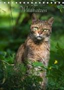 Wildkatzen - scheue Jäger (Tischkalender 2022 DIN A5 hoch)